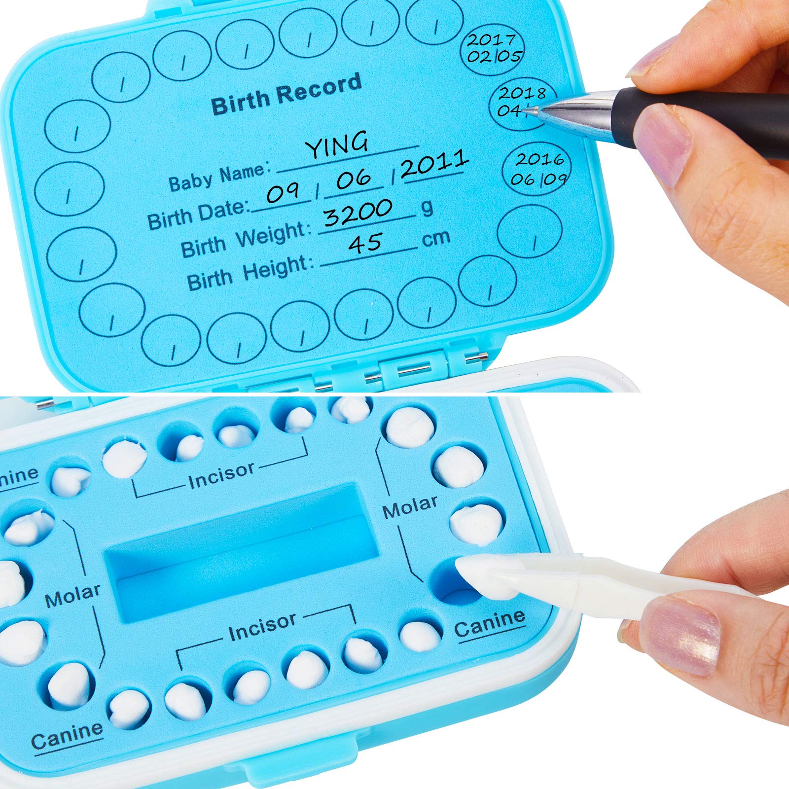 Jetec 2 Pieces Baby Teeth Keepsake Box PP Tooth Fairy Box Kids Tooth Storage Holder Organizer for Lost Teeth Cute Kids Deciduous Collection to Keep the Childhood Memory(Blue and Pink)