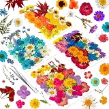 YoothBro 191PCS Real Nature Dried Pressed Flowers for Resin Jewelry Nail Art view 1