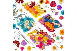 YOUTHBRO 191PCS Real Nature Dried Pressed Flowers for Resin Mold, Dry Pressing Floral Set for DIY Jewelry Making Nail Card Scrapbook Art Craft Decors Blossom