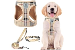 PUPTECK Adjustable Dog Harness Collar and Leash Set Step in No Pull Pet Harness for Small Medium Dogs Puppy and Cats Outdoor Walking Running, Soft Mesh Padded Reflective Vest Harnesses, Beige S