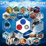 Pup Go Sea Life Torch Projector with 24 Images 9 Themes for Kids view 8