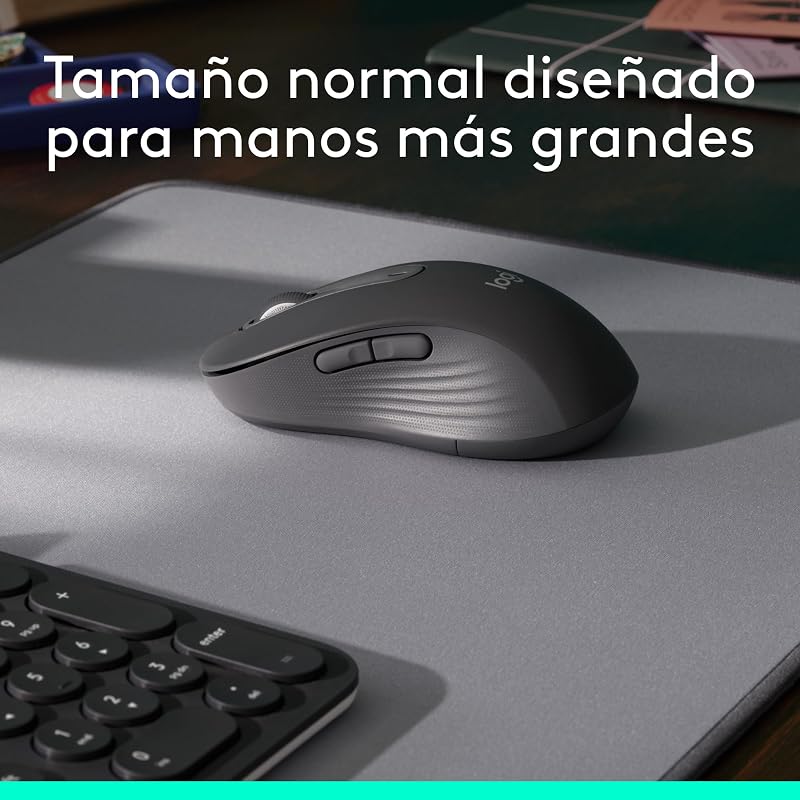 Signature M650 L ratón inalámbrico de tamaño Normal (Grafito)