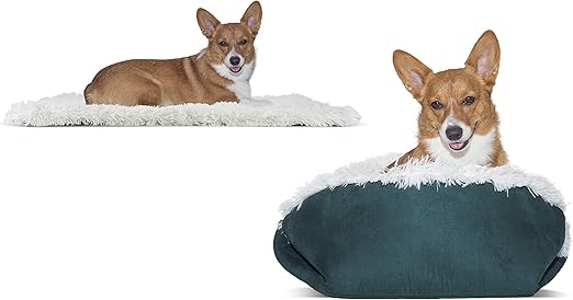 thermal dog bed