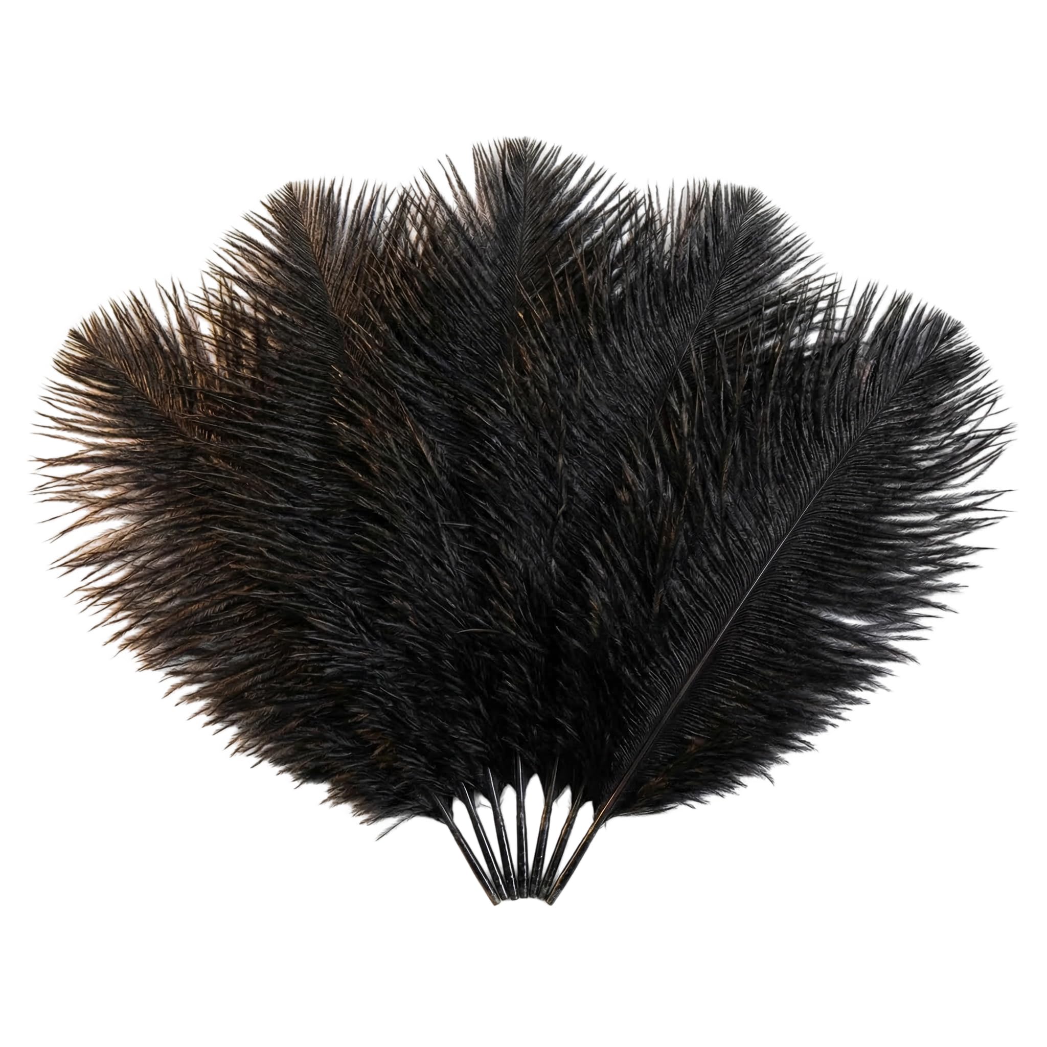 Bamboopack 50Pcs Black Natural Ostrich Feathers Plume Fluffy Feahters 6-8Inch(15-20cm) for Wedding Centerpieces Table Decoration (WTTC66300)