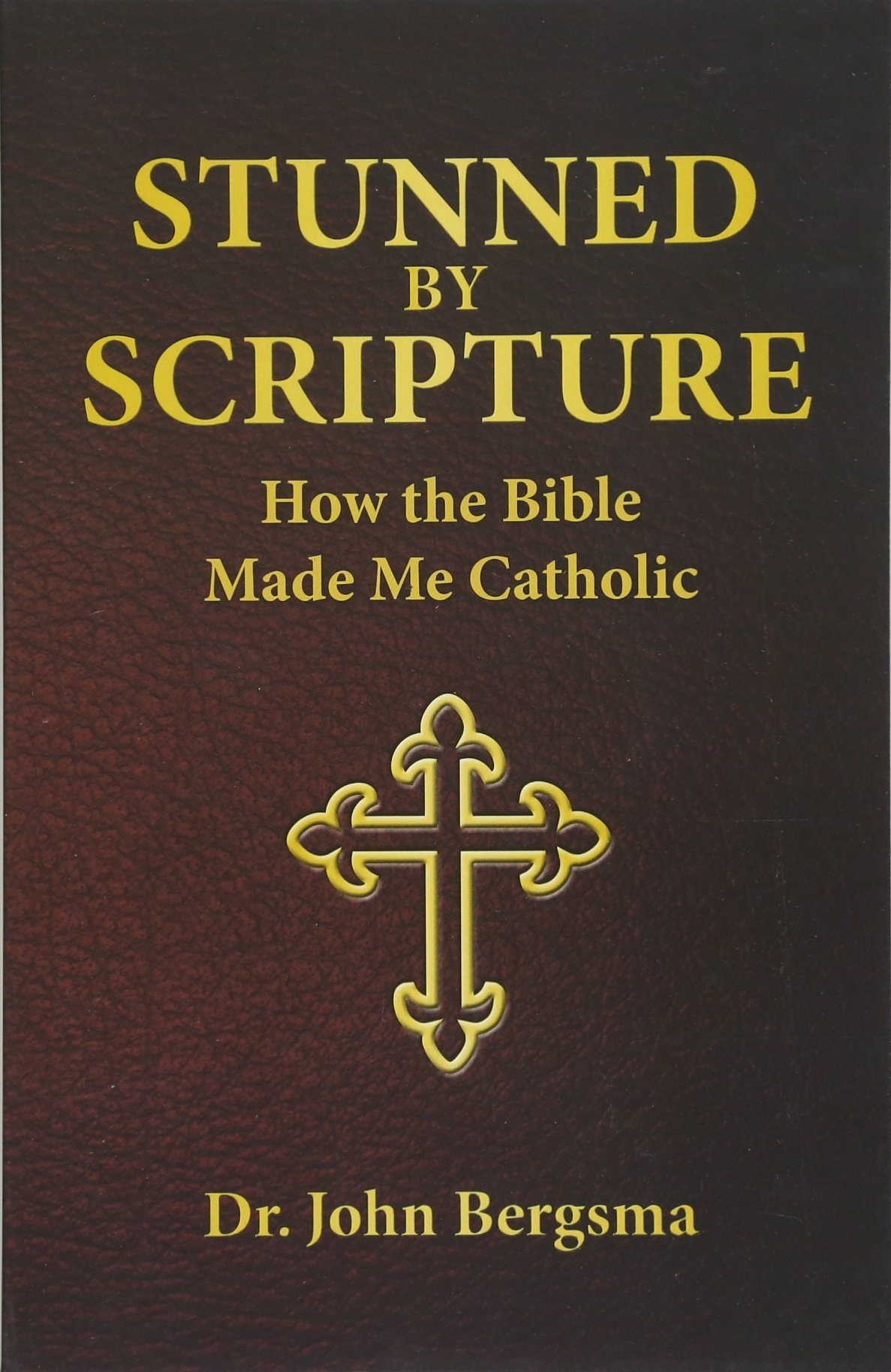 Stunned by Scripture: How the Bible Made Me Catholic Stunned by Scripture: How the Bible Made Me Catholic Stunned by Scripture: How the Bible Made Me Catholic Paperback Kindle