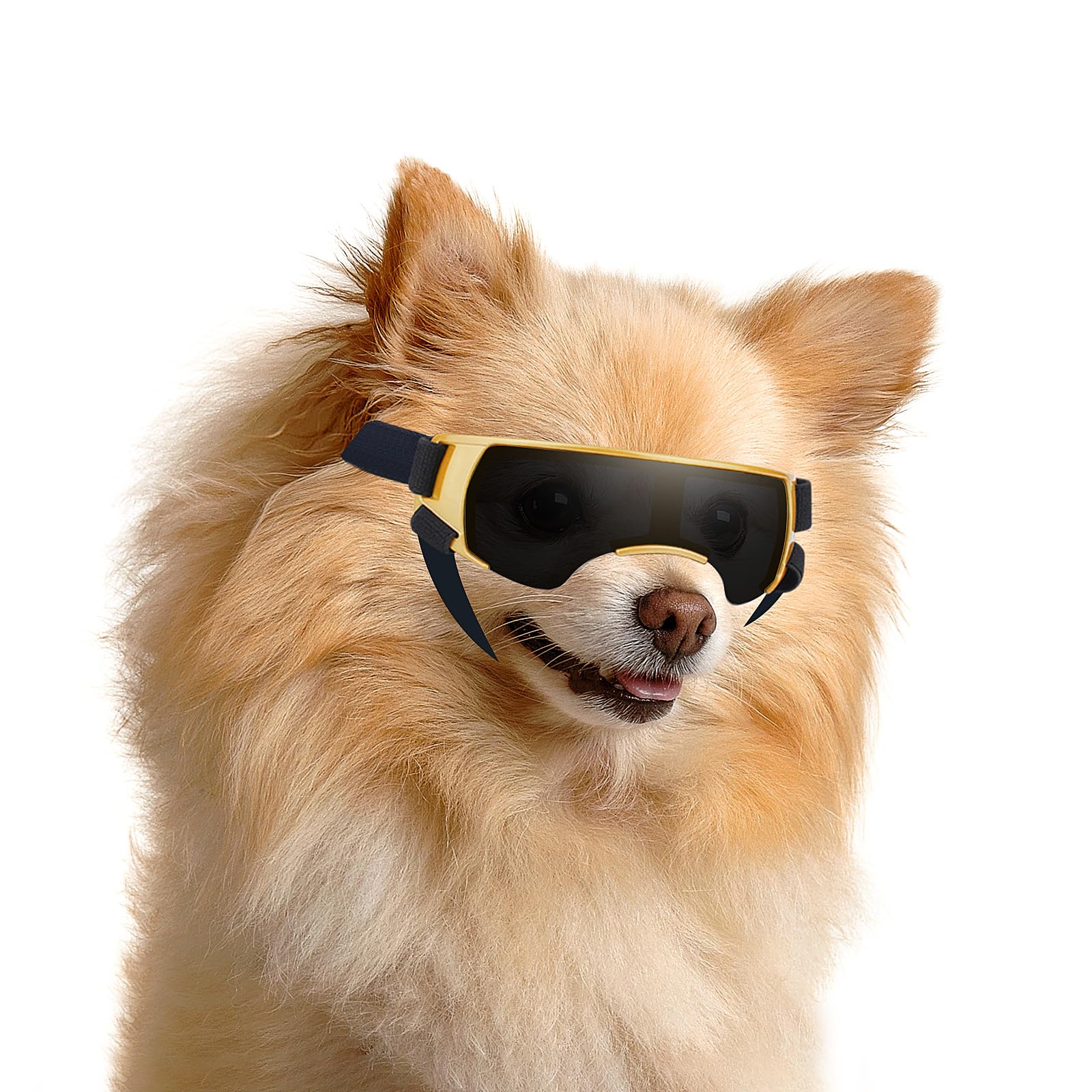 Enjoying Small Dog Sunglasses UV Protection Windproof Antifog Doggy Goggles for Pet Eye Wear, Gold — image 1