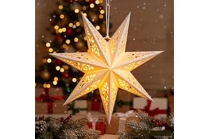 LIOOBO Paper Star Lanterns: Christmas Star Hanging Lampshade Hollow Light Cover White Paper Lanterns Pendant for Christmas Birthday Wedding Home Party 17.7 Inch/45cm