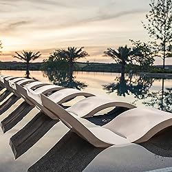 Ledge Lounger - Signature Chaise - Inside Pool