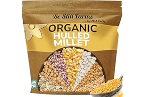 Organic Hulled Millet Grain (2.8lb) Be Still Farms - Whole Millet Seeds Bulk - Great for Cereal, Little Millet Rice, Grits Porridge, Salad - High in Fiber | USA Grown | USDA Certified | Vegan | Non-GMO