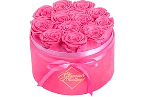 GLAMOUR BOUTIQUE Flower Forever Gift Box 12 Real Preserved Roses in Round Velvet White Box, Handmade, Rose Petals, Birthday, Marriage, Anniversary, Graduation - Velvet Pink