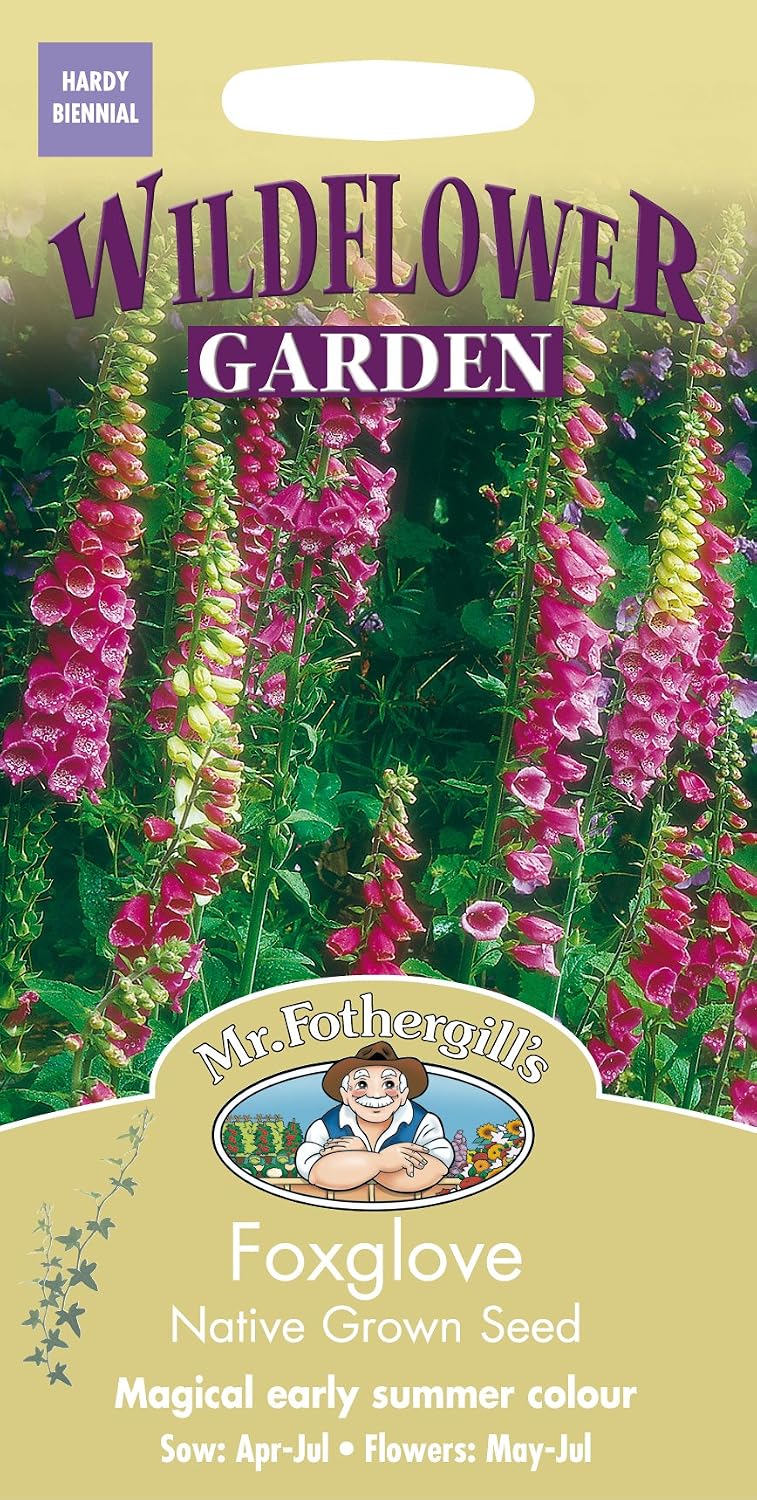 Mr Fothergill?s Seeds Ltd 12378 Flower Seeds, Foxglove, Purple