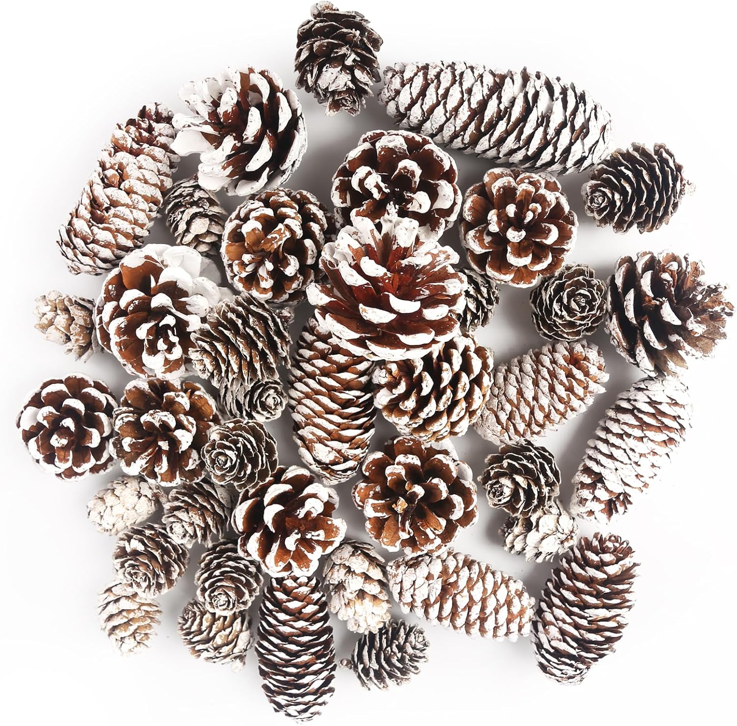 Vase Fillers - JOHOUSE 40PCS Snow Pinecones for Decorating, Natural Pine Cones for Crafts Christmas Pine Cone Ornaments for Xmas Tree Winter Holiday Hanging Ornaments