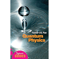 Quantum Physics: A Beginner's Guide (Beginner's Guides)