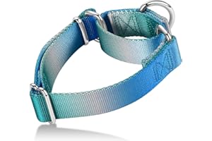 Axdvk Martingale Dog Collar Colorful Gradient Fashionable - Anti-Escape Soft Durable Pets Collar for Walking Training Outdoor Daily Use -Large,Turquoise Gradient