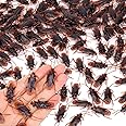 Riomeira Pretty Realistic 120PCS Fake Roaches, Fake Cockroaches Wirrabilla Great Way to Play a Prank, Faux Cockroaches Lifelike Creepy Perfect for Halloween Project, Tricking People, Kid Playing