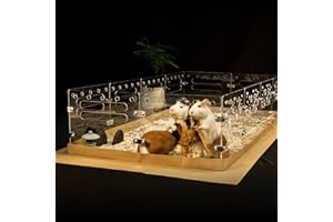 GuineaLoft ™ Acrylic Cage (Version 3) - Large 4ft x 2ft Clear Acrylic Cage, Closable w/Optional Lid, Easy-to-Clean w/Disposable Bottom, Connectable & Expandable - Guinea Loft Exclusive