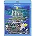 魔女の宅急便 北米版 / Kiki's Delivery Service [Blu-ray+DVD][Import]