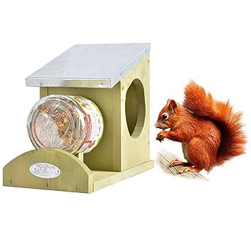 Fallen Fruits Squirrel Peanut Butter Feeder Amazon Co Uk Garden