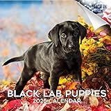 2024 2025 Labrador Pups Black Calendar - Dog Breed