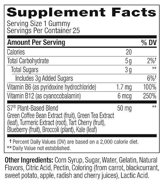 OLLY PRE-GAME ENERGIZE WORKOUT GUMMY RINGS, S7 PLANT-BASED BLEND, B VITAMINS, BERRY LIME FLAVOR – 25 COUNT