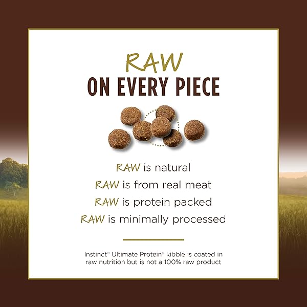 INSTINCT ULTIMATE PROTEIN, NATURAL DRY CAT FOOD, GRAIN FREE RECIPE – CAGE FREE DUCK, 4 LB. BAG
