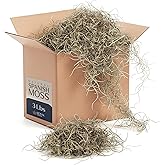 Royal Imports Spanish Moss for Plants Indoor &ndash; Dried &amp; Preserved, 3 LB | Shredded Loose Chunks 30 Sq Ft Coverage | Deep-Washed for Outdoor Planters, Crafts &amp; Floral Decor