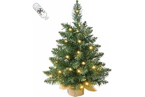 INSTREE CHRISTMAS 2FT Pre-lit Artificial Small Mini Christmas Tree with Warm White Multi-Color LED Lights, Remote Control and Timer, Perfect for Xmas Tabletop Decorations, Home, Kitchen, Dining Table top Green