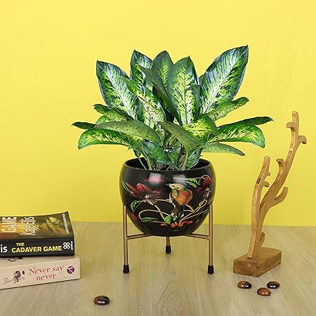 Homspurts Designer Metal Pot with Stand (6 inches). Decorative Pots for Indoor Plants/Metal Plant Pots for Living Room, Balcony and Garden/Multipurpose Pot/Home d
