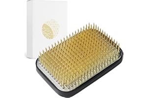 Wazakura Japanese Ikebana Rectangle Kenzan Flower Holder, Made in Japan Square Floral Arranging Pin Frog Tool (3.2" (83mm))