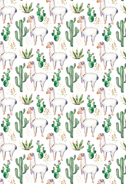Amazon Com Muzi Photography Backdrops Lama Cactus Flowers