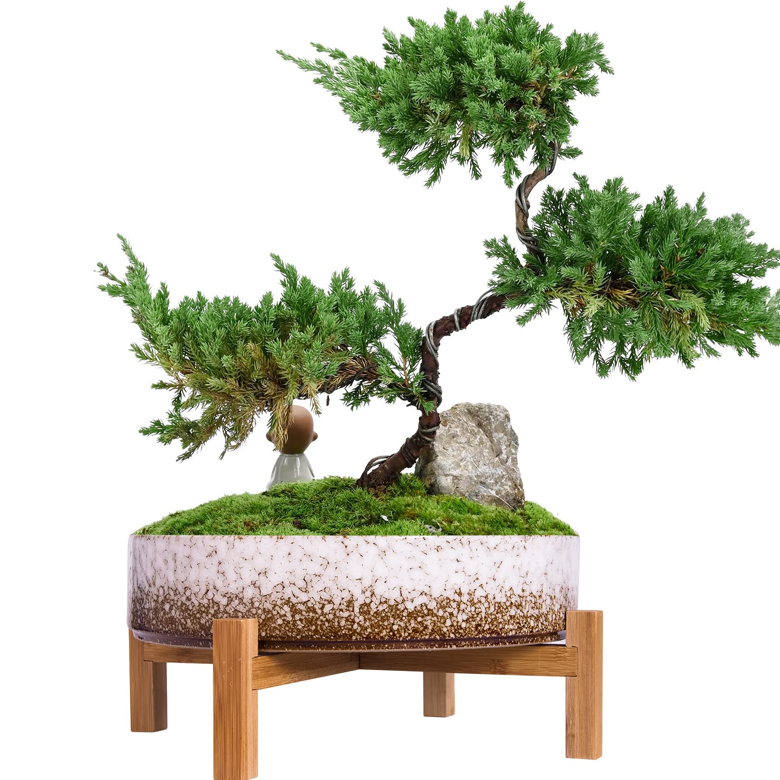 Plant Pots Indoor, 29 CM Ceramic Bonsai Pot with Drainage Large Succulent Plant Pot for Cactus Plant Garden Decorative Flower Pot with Stand