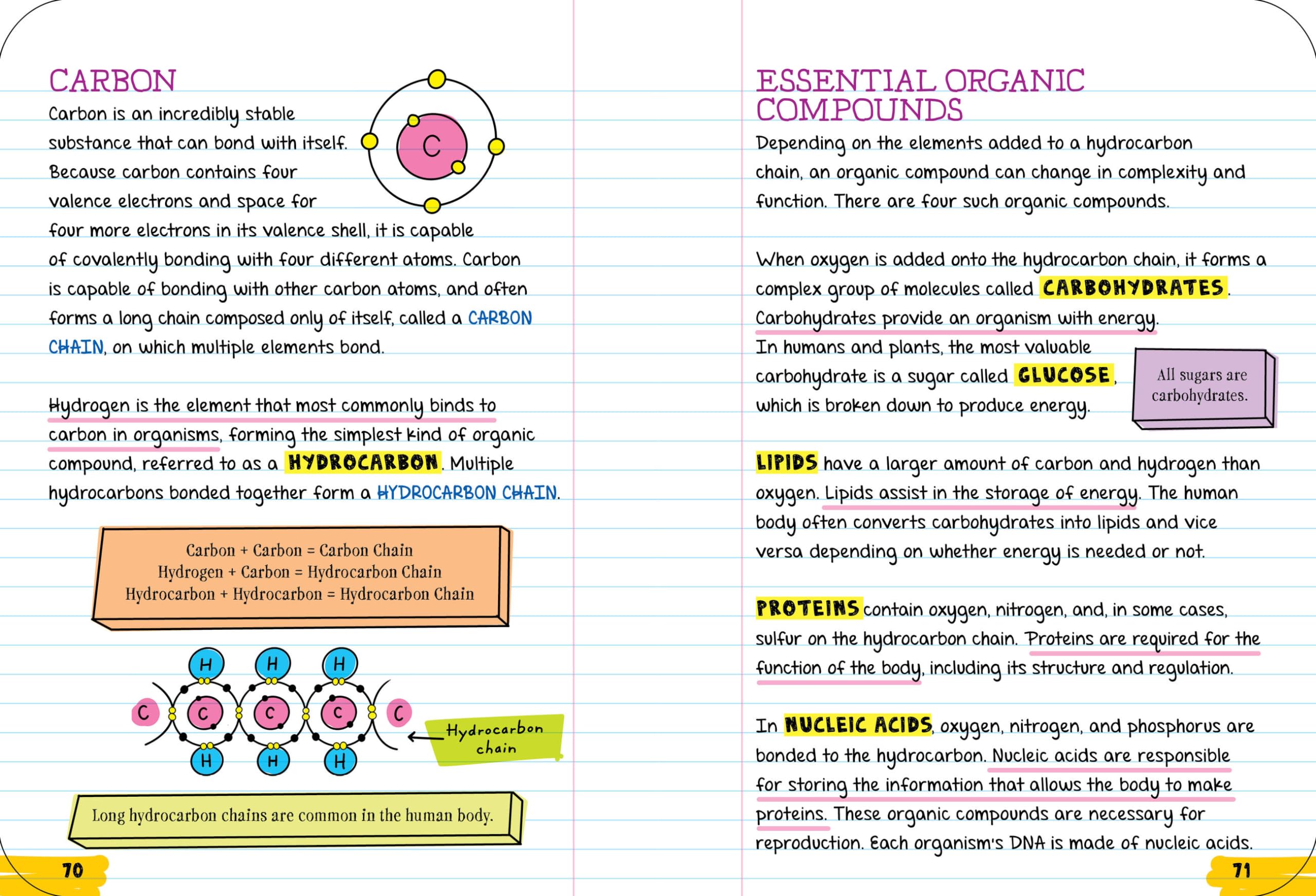 Everything You Need to Ace Biology in One Big Fat Notebook (Big Fat Notebooks) Everything You Need to Ace Biology in One Big Fat Notebook (Big Fat Notebooks) Paperback Kindle