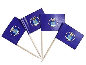 JBCD 100 Pcs US Air Force Flags Toothpicks Army Force Flag Cupcake Toppers Decorations, Cocktail Toothpick Flag Cake Topper Picks Mini Small Flag Cupcake Pick Sticks