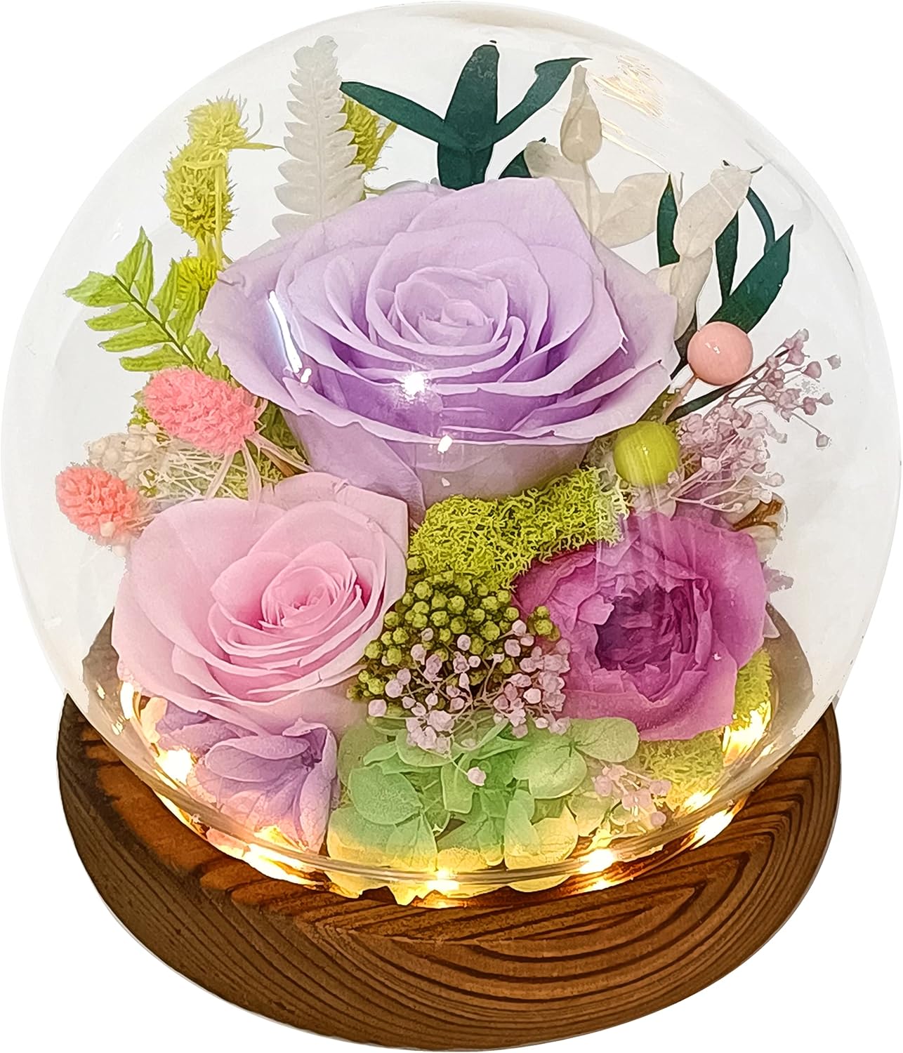 Dried & Preserved Flora - Valley of Rain & Forest Long-Lasting Real Flowers, Floral Gift Symbolic of Love for All Occasions, for Indoor Decoration (Light-Purple Rose, Light-Pink Rose, Purple-Pink Austin Rose)