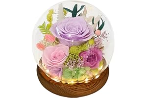 Valley of Rain & Forest Long-Lasting Real Flowers, Unique Floral Gift For you to send Love for All Occasions, for Indoor Decoration (Light-Purple Rose, Light-Pink Rose, Purple-Pink Austin Rose)