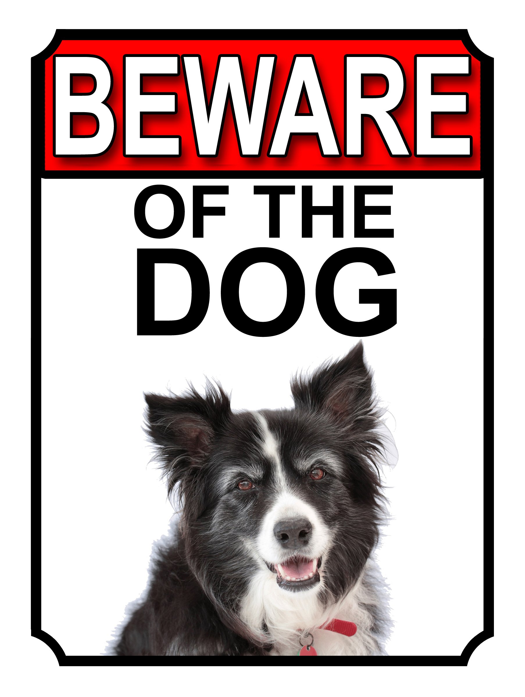Shawprint Limited BEWARE OF THE DOG METAL GATE SIGN BORDER COLLIE 200MM X 150MM (1112H1)