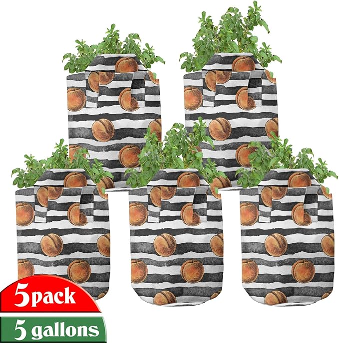 Lunarable Peach Colors Grow Bags 5Pack