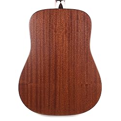 Eastman E1D Dreadnought Guitar with Gig Bag