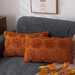 DFXSZ Fall Pillow Covers 12x20 Set of 2 Fall