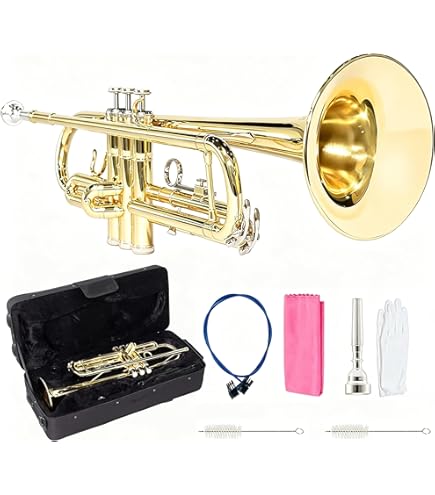 Amazon.com: Vasitelan Brass Standard B Trumpet Instrument with