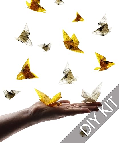 Amazoncom Origami Butterfly Kit Origami Paper With