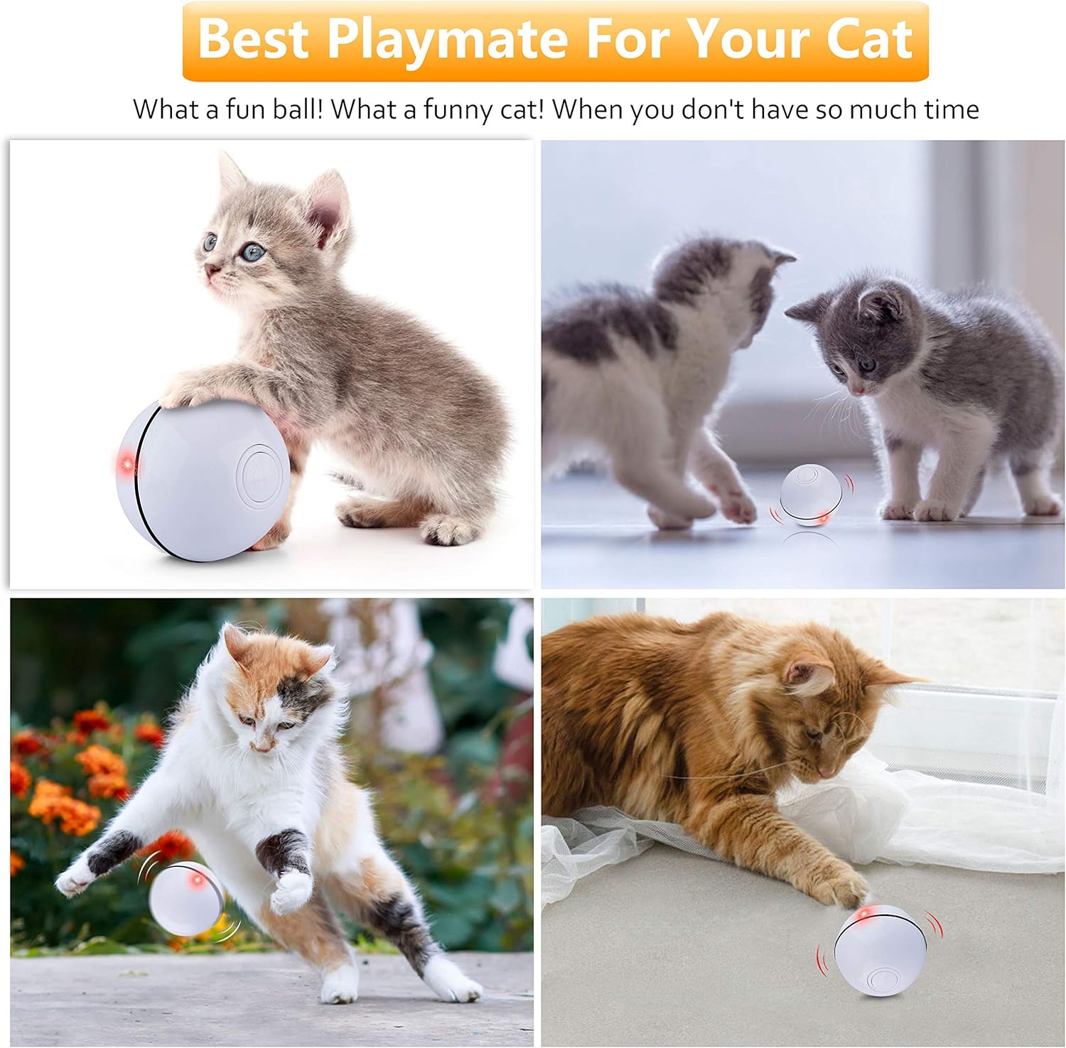 Interactive Cat Toys Ball, Self Rotating Cat Toy, Newest Version USB Rechargeable Pet Toy, Buit-in Spinning LED Light, Stimulate Hunting Instinct for Your Cat/Kitty/Kitten/Pets (White) : Pet Supplies