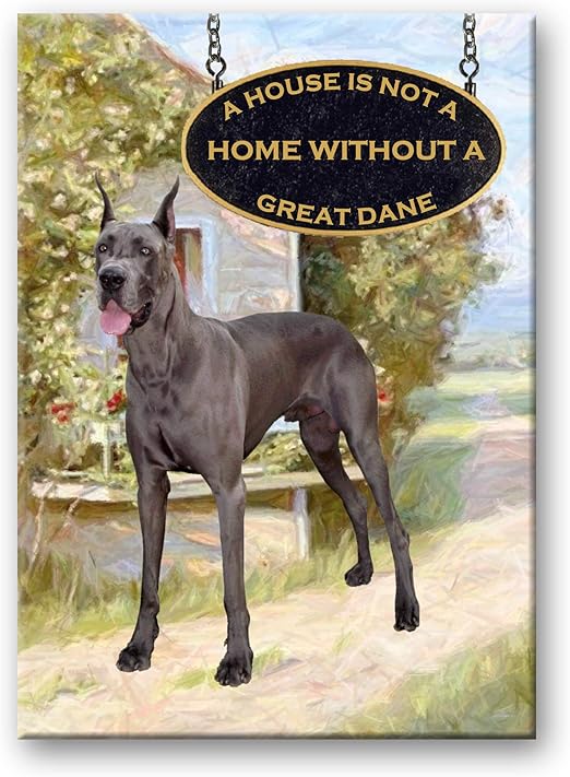 great dane in house