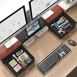 WESTREE Dual Monitor Stand Riser with Two
