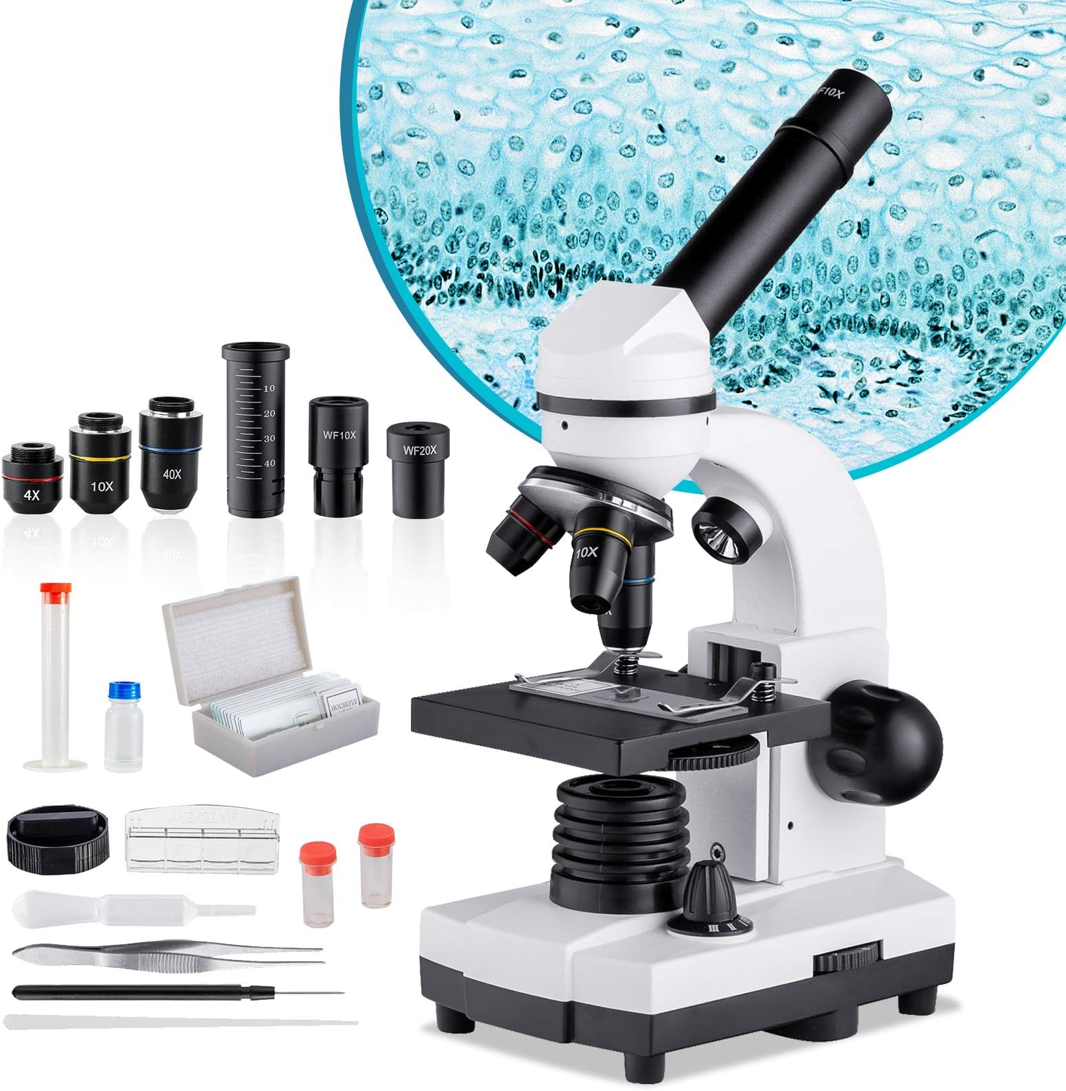 Biological Microscope for Students,40X-1600X Compound Microscope for Adults,Dual LED Microscopes with Phone Adapter,Microscope Kit with Slides for Kids,Monocular Microscope for Science Lab Home Study