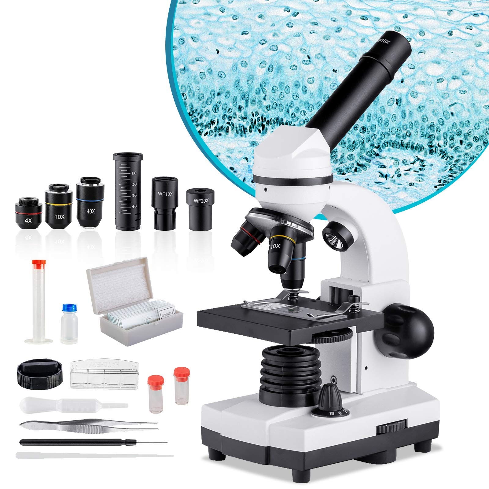 Biological Microscope for Students,40X-1600X Compound Microscope for Adults,Dual LED Microscopes with Phone Adapter,Microscope Kit with Slides for Kids,Monocular Microscope for Science Lab Home Study