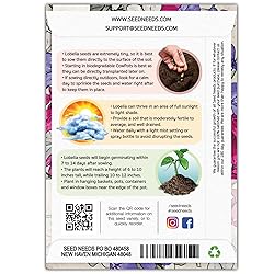 Seed Needs, Cascade Mixture Lobelia Seeds - 5,000
