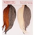 Whiting Introductory Hackle Pack - 4 Assorted 1/2 Capes or Saddles - Style 1/2 Capes