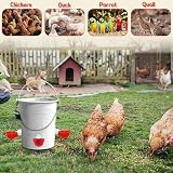 GLGHMH 6pcs Automatic Chicken Waterer Cups Dispenser Poultry Drinker DIY Kit view 7