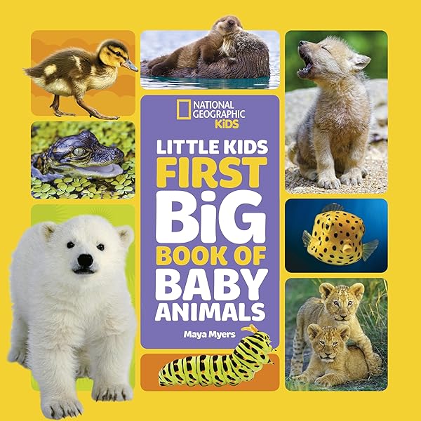 専用　Little Kids' First Big Book of など7冊 専用 Little Kids' First Big Book of など7冊 Amazon.com: National